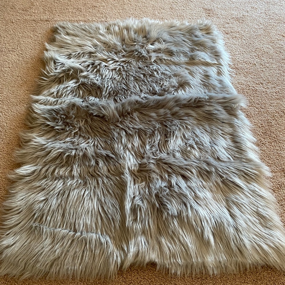 Gray rug